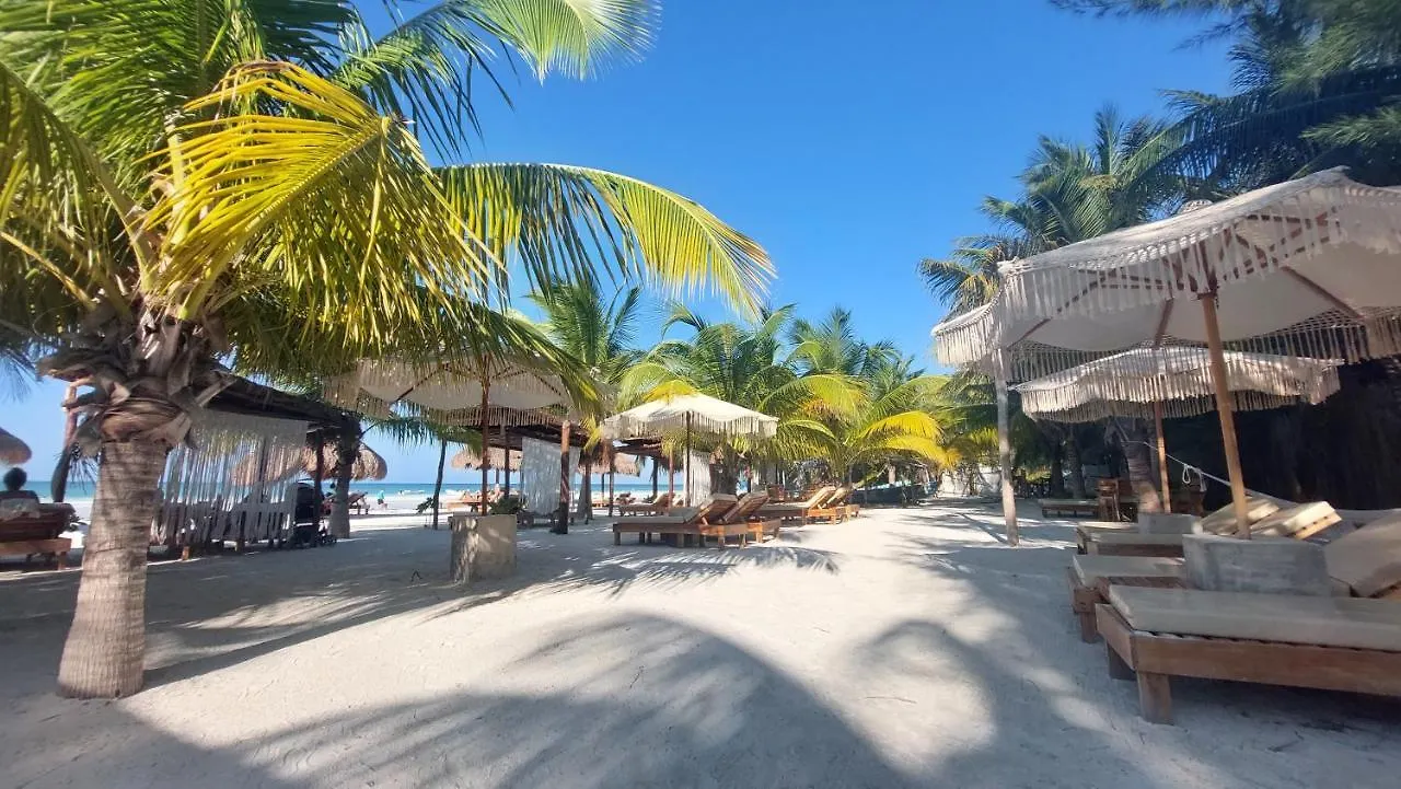 'Syrena Luxury Caribbean' Heart Of Playa Del Carmen - Fast Wi-Fi - Sea Views Aparthotel 5*,