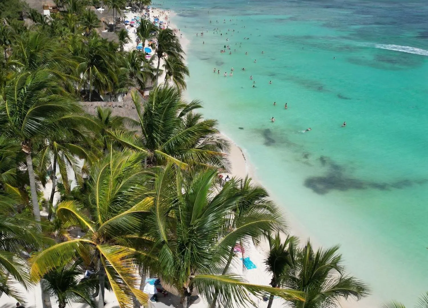 Апарт-отель Апарт отель 'Syrena Luxury Caribbean' Heart Of Playa Del Carmen - Fast Wi-Fi - Sea Views
